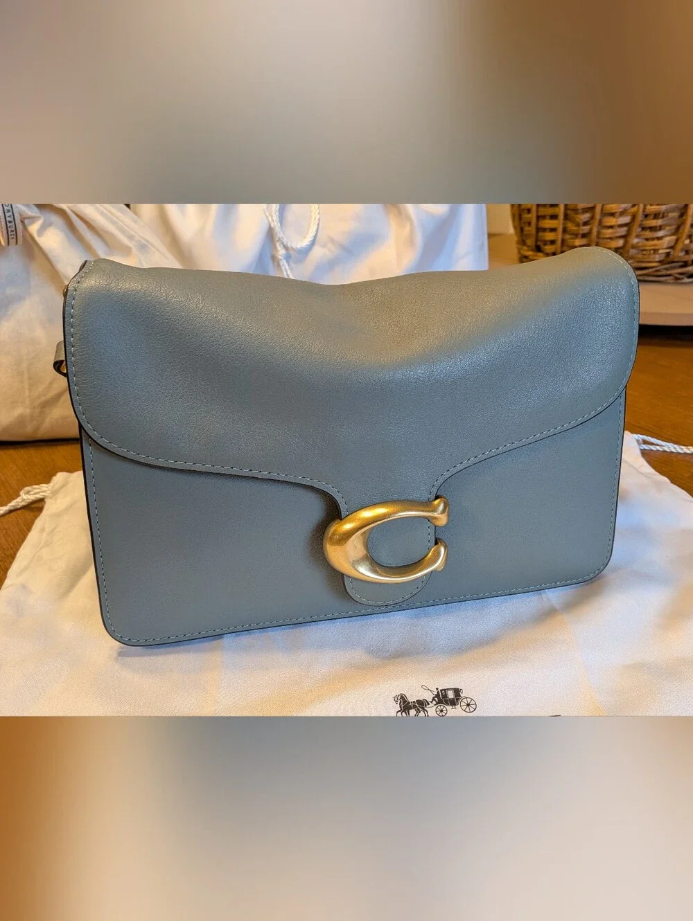 Coach Chain Tabby Sage Shoulder Bag